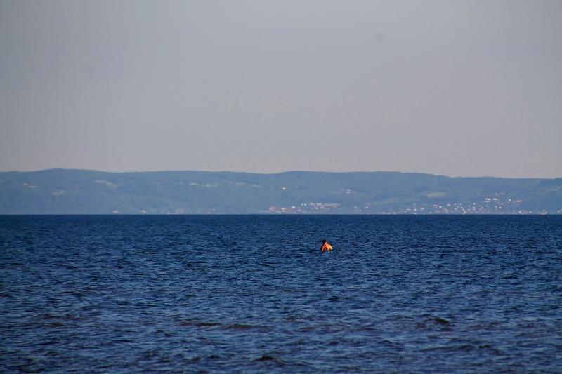 Observatörens bild